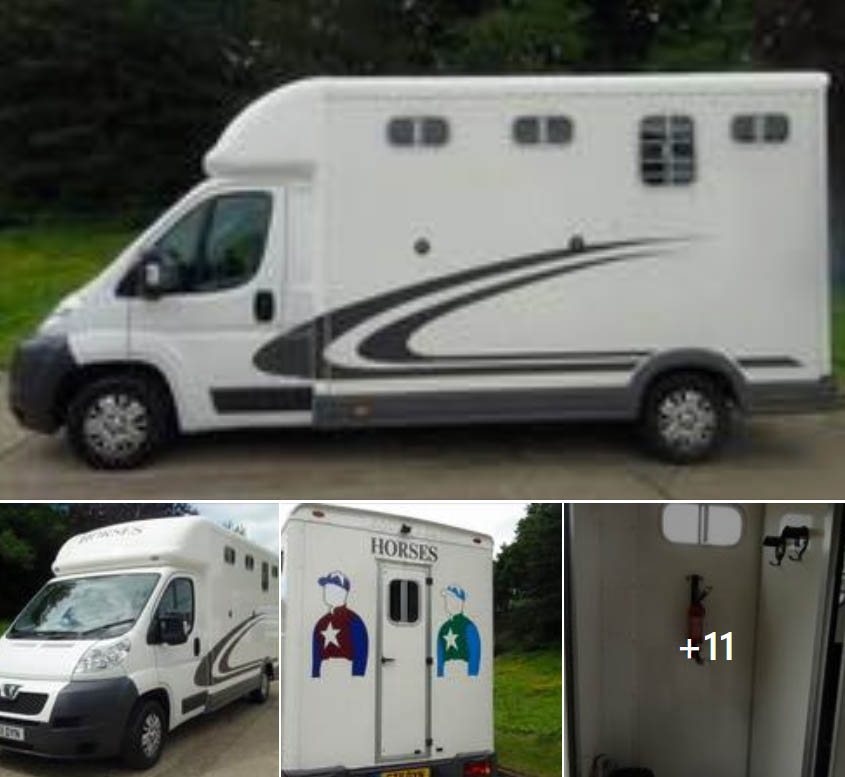 Equitrek Sonic 3.5t Horsebox